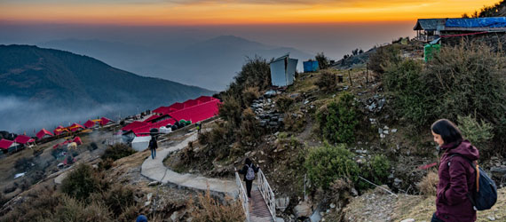 Luxury Camping in Bir Billing, Himachal